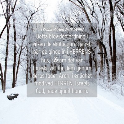 Picture 04 - 1 Krönikeboken 24:19 SV1917 - Detta blev den ordning i vilken de skulle göra - Bible Verse Picture