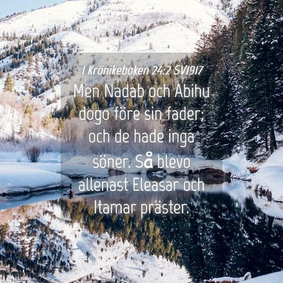 Picture 04 - 1 Krönikeboken 24:2 SV1917 - Men Nadab och Abihu dogo före sin fader; och de - Bible Verse Picture