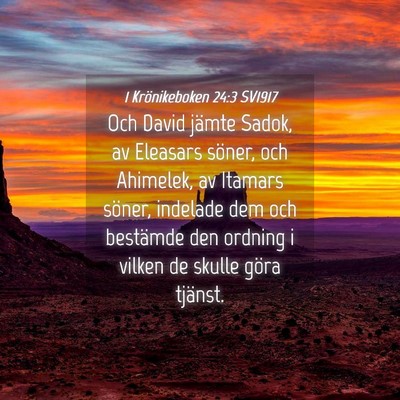Picture 04 - 1 Krönikeboken 24:3 SV1917 - Och David jämte Sadok, av Eleasars söner, och - Bible Verse Picture