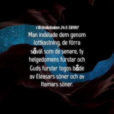 Picture 04 - 1 Krönikeboken 24:5 SV1917 - Man indelade dem genom lottkastning, de förra - Bible Verse Picture