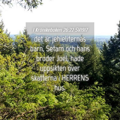 Picture 04 - 1 Krönikeboken 26:22 SV1917 - det är jehieliternas barn, Setam och hans broder - Bible Verse Picture