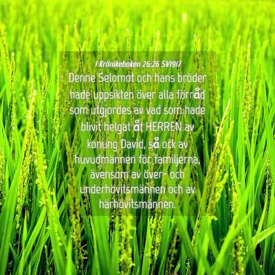 Picture 04 - 1 Krönikeboken 26:26 SV1917 - Denne Selomot och hans bröder hade uppsikten - Bible Verse Picture