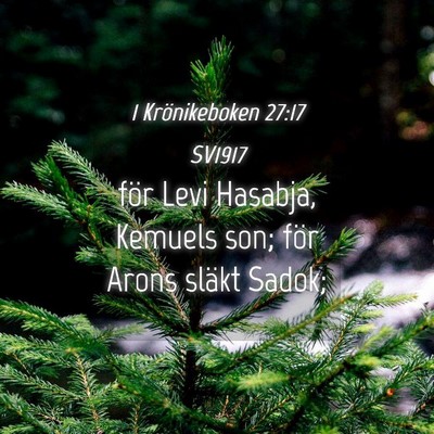 Picture 04 - 1 Krönikeboken 27:17 SV1917 - för Levi Hasabja, Kemuels son; för Arons släkt - Bible Verse Picture