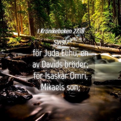 Picture 04 - 1 Krönikeboken 27:18 SV1917 - för Juda Elihu, en av Davids bröder; för - Bible Verse Picture