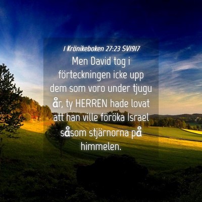 Picture 04 - 1 Krönikeboken 27:23 SV1917 - Men David tog i förteckningen icke upp dem som - Bible Verse Picture