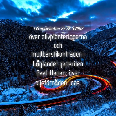 Picture 04 - 1 Krönikeboken 27:28 SV1917 - över olivplanteringarna och - Bible Verse Picture