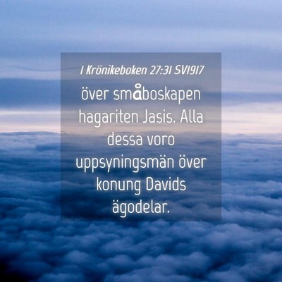 Picture 04 - 1 Krönikeboken 27:31 SV1917 - över småboskapen hagariten Jasis. Alla dessa - Bible Verse Picture