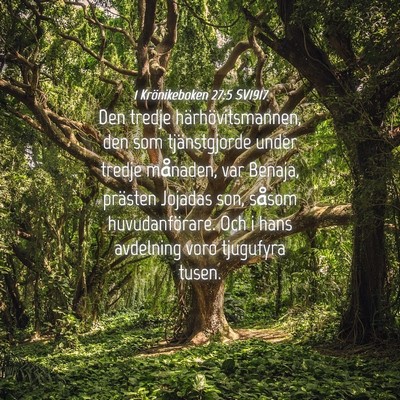 Picture 04 - 1 Krönikeboken 27:5 SV1917 - Den tredje härhövitsmannen, den som - Bible Verse Picture