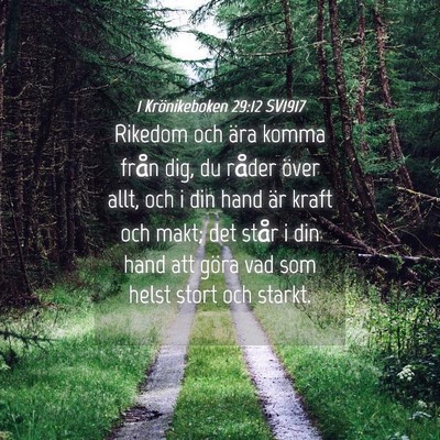 Picture 04 - 1 Krönikeboken 29:12 SV1917 - Rikedom och ära komma från dig, du råder över - Bible Verse Picture