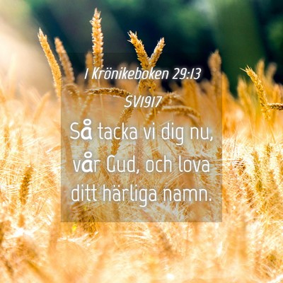 Picture 04 - 1 Krönikeboken 29:13 SV1917 - Så tacka vi dig nu, vår Gud, och lova ditt - Bible Verse Picture