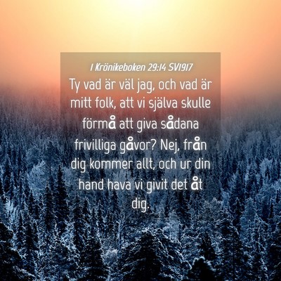 Picture 04 - 1 Krönikeboken 29:14 SV1917 - Ty vad är väl jag, och vad är mitt folk, att - Bible Verse Picture