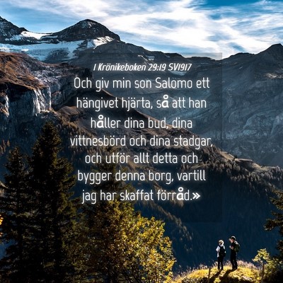 Picture 04 - 1 Krönikeboken 29:19 SV1917 - Och giv min son Salomo ett hängivet hjärta, så - Bible Verse Picture