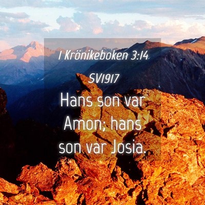 Picture 04 - 1 Krönikeboken 3:14 SV1917 - Hans son var Amon; hans son var - Bible Verse Picture