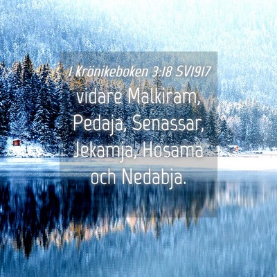 Picture 04 - 1 Krönikeboken 3:18 SV1917 - vidare Malkiram, Pedaja, Senassar, Jekamja, - Bible Verse Picture