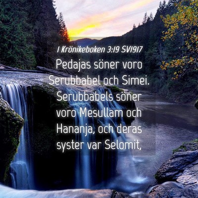 Picture 04 - 1 Krönikeboken 3:19 SV1917 - Pedajas söner voro Serubbabel och Simei. - Bible Verse Picture