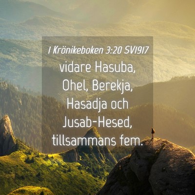 Picture 04 - 1 Krönikeboken 3:20 SV1917 - vidare Hasuba, Ohel, Berekja, Hasadja och - Bible Verse Picture