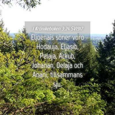 Picture 04 - 1 Krönikeboken 3:24 SV1917 - Eljoenais söner voro Hodauja, Eljasib, Pelaja, - Bible Verse Picture