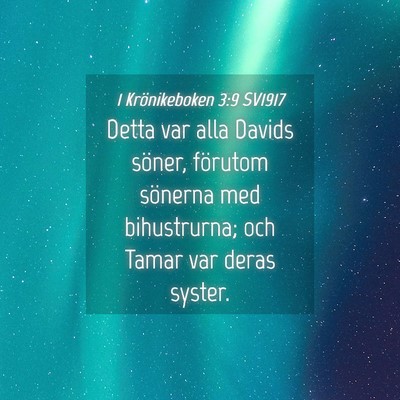 Picture 04 - 1 Krönikeboken 3:9 SV1917 - Detta var alla Davids söner, förutom sönerna - Bible Verse Picture