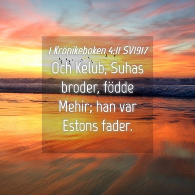 Picture 04 - 1 Krönikeboken 4:11 SV1917 - Och Kelub, Suhas broder, födde Mehir; han var - Bible Verse Picture
