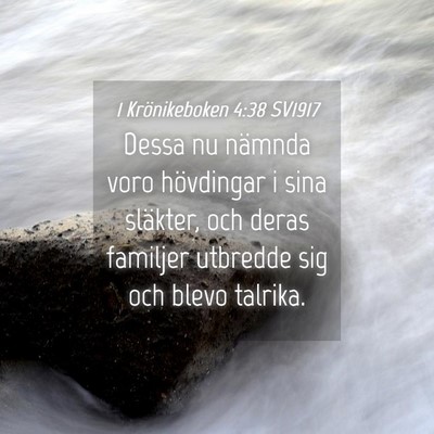 Picture 04 - 1 Krönikeboken 4:38 SV1917 - Dessa nu nämnda voro hövdingar i sina släkter, - Bible Verse Picture