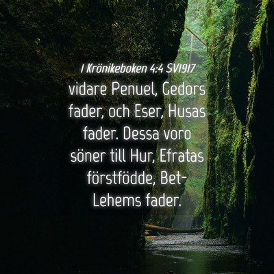 Picture 04 - 1 Krönikeboken 4:4 SV1917 - vidare Penuel, Gedors fader, och Eser, Husas - Bible Verse Picture