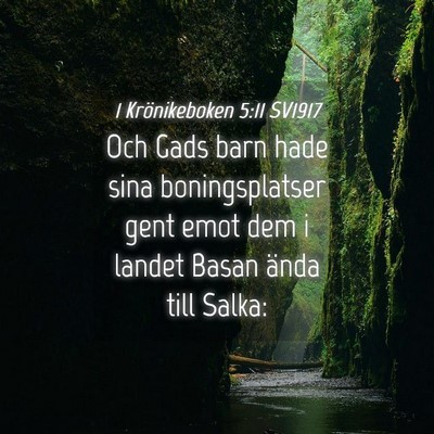 Picture 04 - 1 Krönikeboken 5:11 SV1917 - Och Gads barn hade sina boningsplatser gent emot - Bible Verse Picture