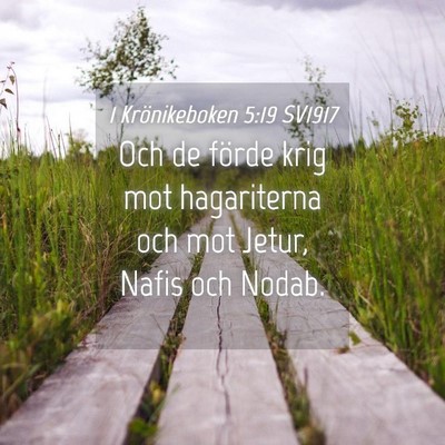 Picture 04 - 1 Krönikeboken 5:19 SV1917 - Och de förde krig mot hagariterna och mot Jetur, - Bible Verse Picture