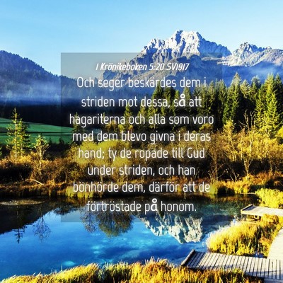 Picture 04 - 1 Krönikeboken 5:20 SV1917 - Och seger beskärdes dem i striden mot dessa, så - Bible Verse Picture
