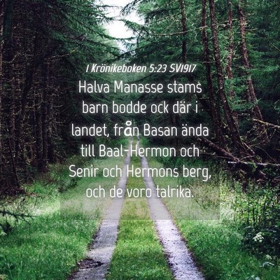 Picture 04 - 1 Krönikeboken 5:23 SV1917 - Halva Manasse stams barn bodde ock där i landet, - Bible Verse Picture