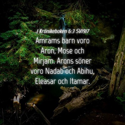 Picture 04 - 1 Krönikeboken 6:3 SV1917 - Amrams barn voro Aron, Mose och Mirjam. Arons - Bible Verse Picture