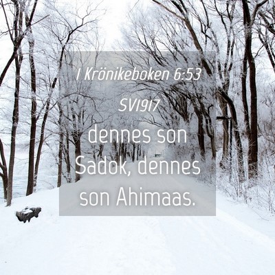 Picture 04 - 1 Krönikeboken 6:53 SV1917 - dennes son Sadok, dennes son - Bible Verse Picture