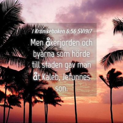 Picture 04 - 1 Krönikeboken 6:56 SV1917 - Men åkerjorden och byarna som hörde till staden - Bible Verse Picture