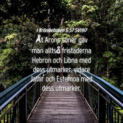 Picture 04 - 1 Krönikeboken 6:57 SV1917 - Åt Arons söner gav man alltså fristäderna - Bible Verse Picture