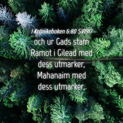 Picture 04 - 1 Krönikeboken 6:80 SV1917 - och ur Gads stam Ramot i Gilead med dess - Bible Verse Picture