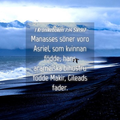 Picture 04 - 1 Krönikeboken 7:14 SV1917 - Manasses söner voro Asriel, som kvinnan födde; - Bible Verse Picture