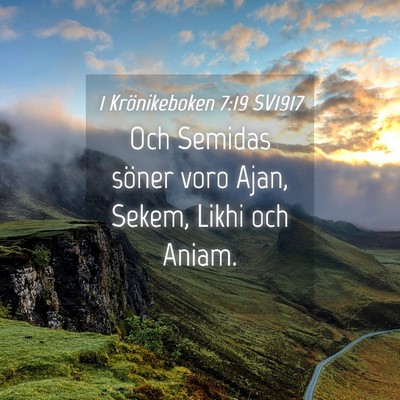 Picture 04 - 1 Krönikeboken 7:19 SV1917 - Och Semidas söner voro Ajan, Sekem, Likhi och - Bible Verse Picture