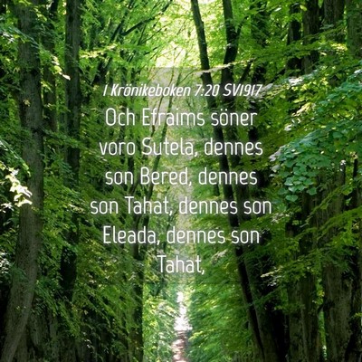 Picture 04 - 1 Krönikeboken 7:20 SV1917 - Och Efraims söner voro Sutela, dennes son Bered, - Bible Verse Picture