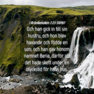 Picture 04 - 1 Krönikeboken 7:23 SV1917 - Och han gick in till sin hustru, och hon blev - Bible Verse Picture