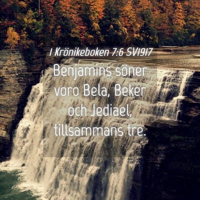 Picture 04 - 1 Krönikeboken 7:6 SV1917 - Benjamins söner voro Bela, Beker och Jediael, - Bible Verse Picture