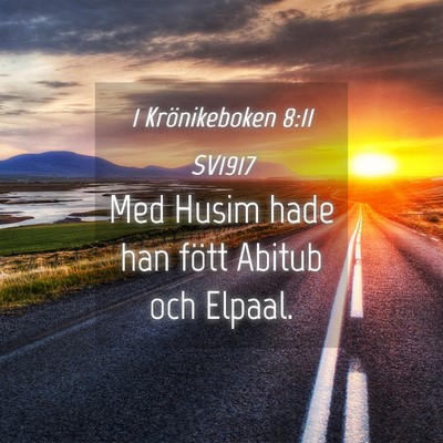 Picture 04 - 1 Krönikeboken 8:11 SV1917 - Med Husim hade han fött Abitub och - Bible Verse Picture