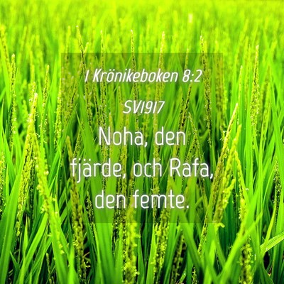 Picture 04 - 1 Krönikeboken 8:2 SV1917 - Noha, den fjärde, och Rafa, den - Bible Verse Picture