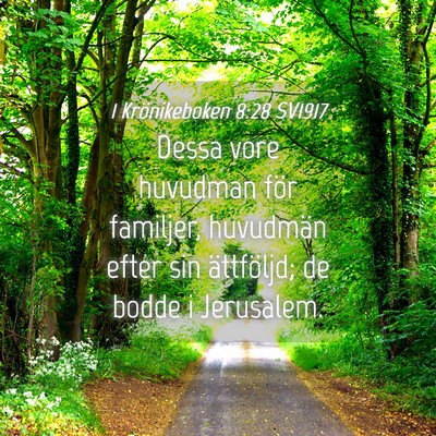 Picture 04 - 1 Krönikeboken 8:28 SV1917 - Dessa vore huvudman för familjer, huvudmän - Bible Verse Picture