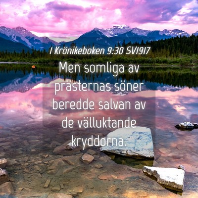 Picture 04 - 1 Krönikeboken 9:30 SV1917 - Men somliga av prästernas söner beredde salvan - Bible Verse Picture