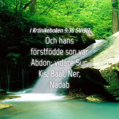 Picture 04 - 1 Krönikeboken 9:36 SV1917 - Och hans förstfödde son var Abdon; vidare Sur, - Bible Verse Picture