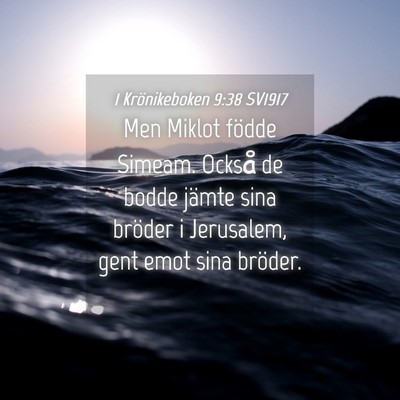 Picture 04 - 1 Krönikeboken 9:38 SV1917 - Men Miklot födde Simeam. Också de bodde jämte - Bible Verse Picture