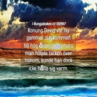 Picture 04 - 1 Kungaboken 1:1 SV1917 - Konung David var nu gammal och kommen till hög - Bible Verse Picture