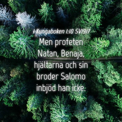Picture 04 - 1 Kungaboken 1:10 SV1917 - Men profeten Natan, Benaja, hjältarna och sin - Bible Verse Picture
