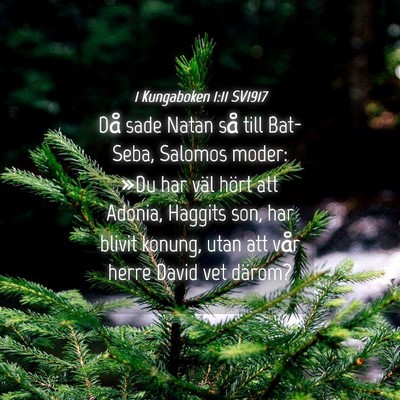 Picture 04 - 1 Kungaboken 1:11 SV1917 - Då sade Natan så till Bat-Seba, Salomos moder: - Bible Verse Picture