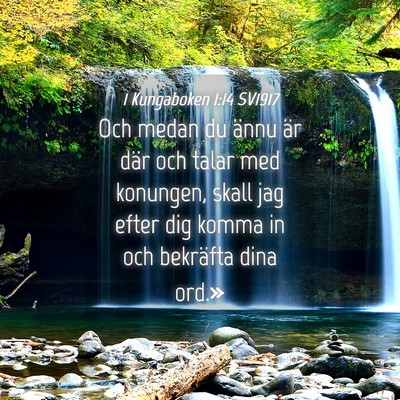 Picture 04 - 1 Kungaboken 1:14 SV1917 - Och medan du ännu är där och talar med - Bible Verse Picture