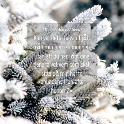 Picture 04 - 1 Kungaboken 1:27 SV1917 - Kan väl detta hava utgått från min herre - Bible Verse Picture